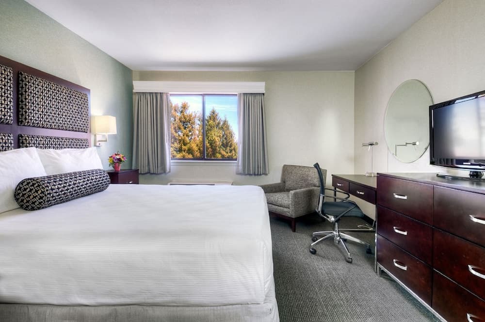 Deluxe Room, 1 King Bed