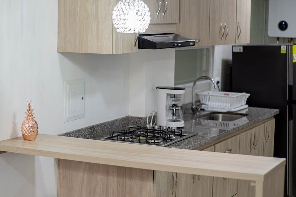 Basic Apartment